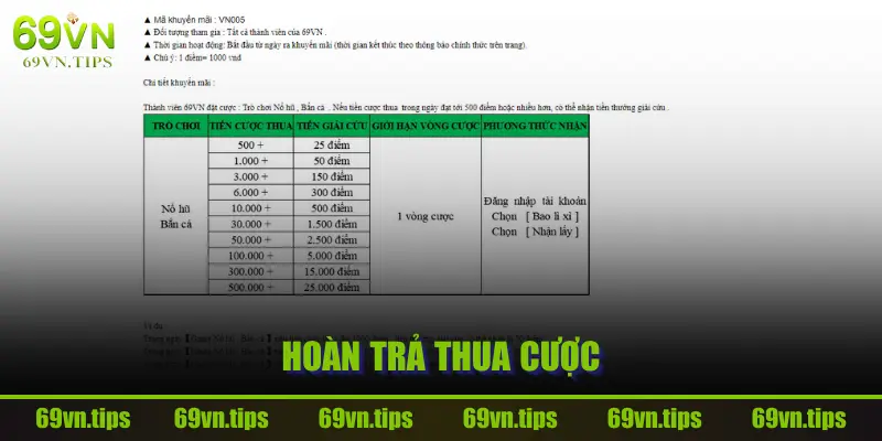 hoan-tra-thua-cuoc